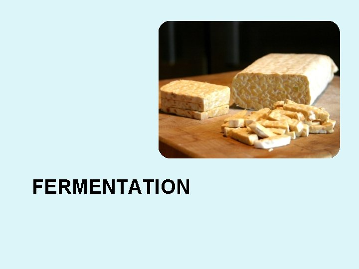 FERMENTATION 