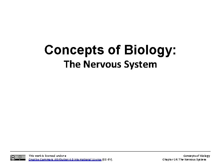 Concepts of Biology: The Nervous System This work is licensed under a Creative Commons