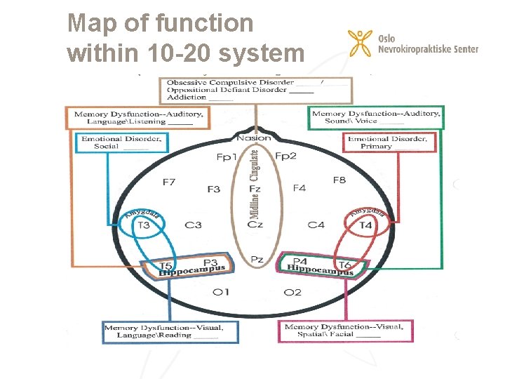 Map of function within 10 -20 system 