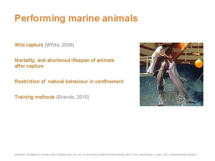 Performing marine animals Wild capture (White, 2009) Mortality, and shortened lifespan of animals after