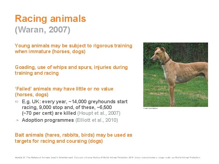 Racing animals (Waran, 2007) Young animals may be subject to rigorous training when immature