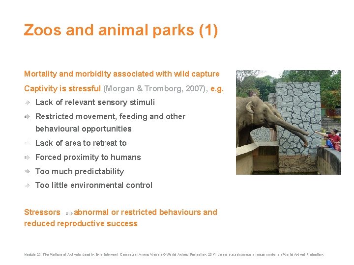 Zoos and animal parks (1) Mortality and morbidity associated with wild capture Captivity is