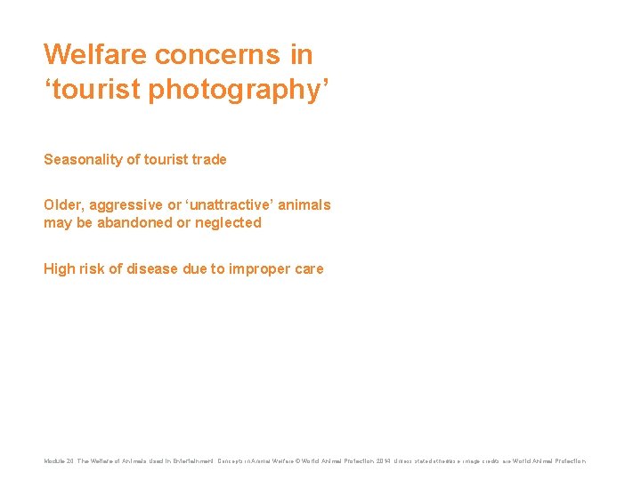 Welfare concerns in ‘tourist photography’ Seasonality of tourist trade Older, aggressive or ‘unattractive’ animals