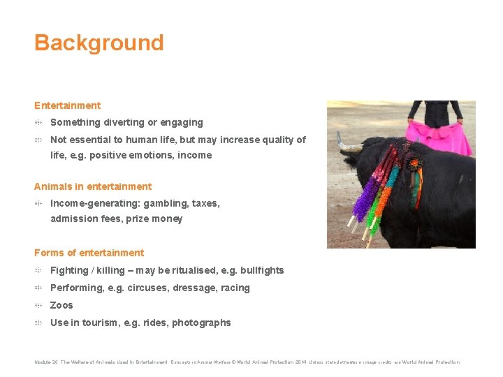 Background Entertainment Something diverting or engaging Not essential to human life, but may increase