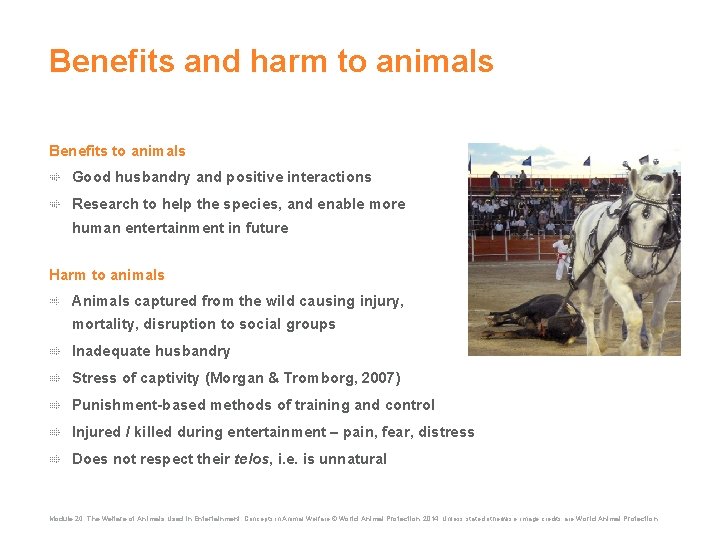 Benefits and harm to animals Benefits to animals Good husbandry and positive interactions Research
