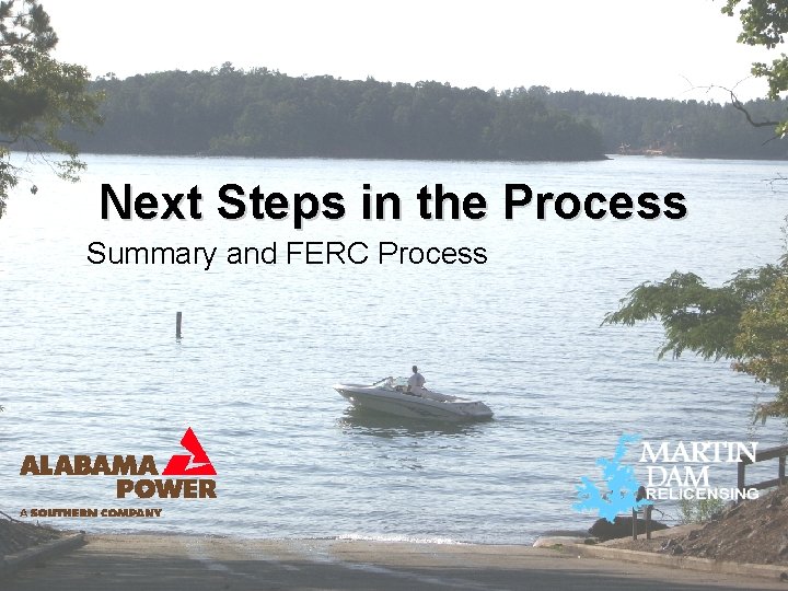 Next Steps in the Process Summary and FERC Process 