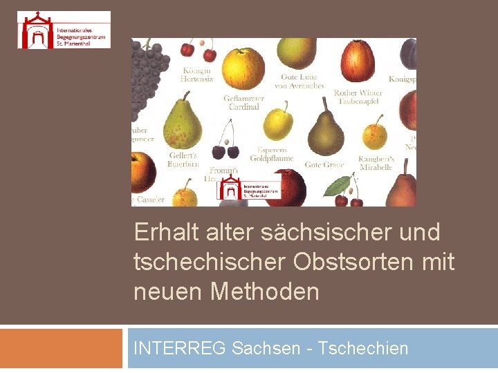 Erhalt alter sächsischer und tschechischer Obstsorten mit neuen Methoden INTERREG Sachsen - Tschechien 
