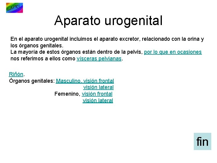 Aparato urogenital En el aparato urogenital incluimos el aparato excretor, relacionado con la orina