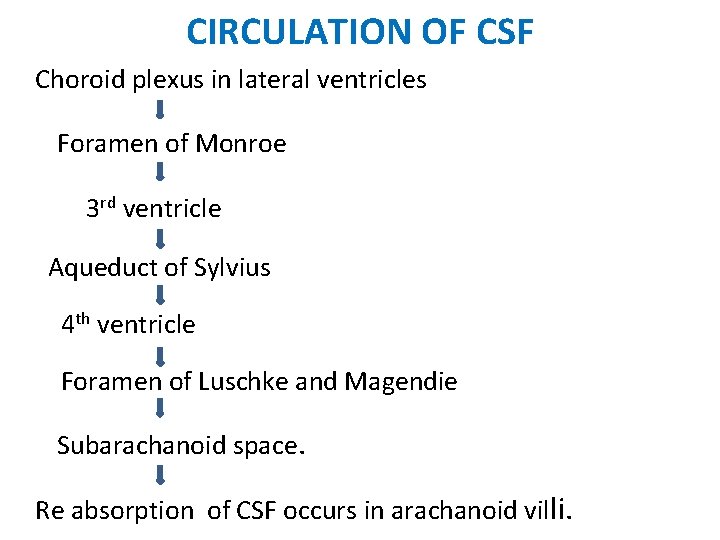 CIRCULATION OF CSF Choroid plexus in lateral ventricles Foramen of Monroe 3 rd ventricle