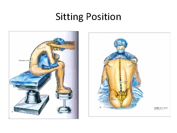 Sitting Position 