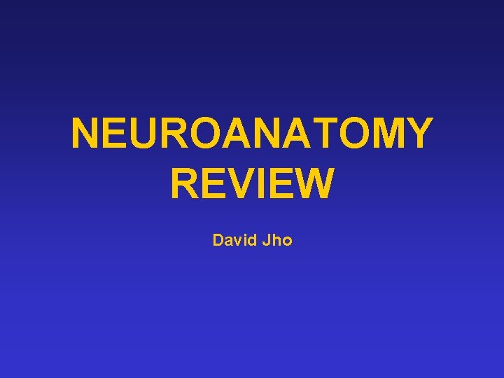 NEUROANATOMY REVIEW David Jho 