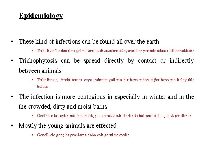 Epidemiology • These kind of infections can be found all over the earth •