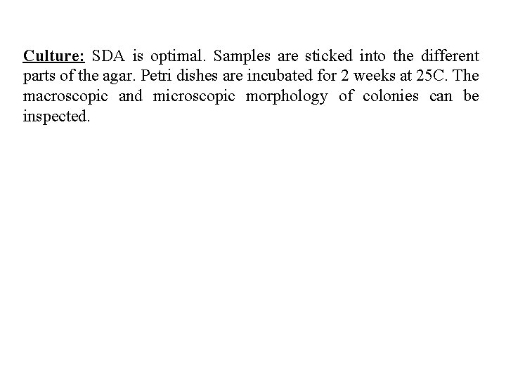 Culture: SDA is optimal. Samples are sticked into the different parts of the agar.