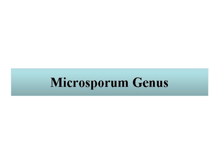 Microsporum Genus 