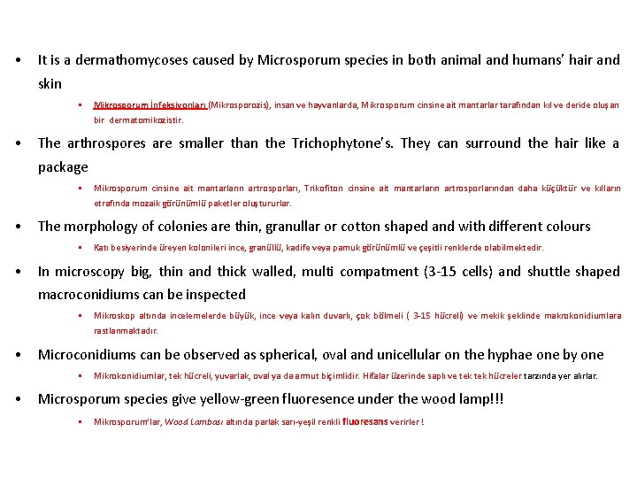  • It is a dermathomycoses caused by Microsporum species in both animal and