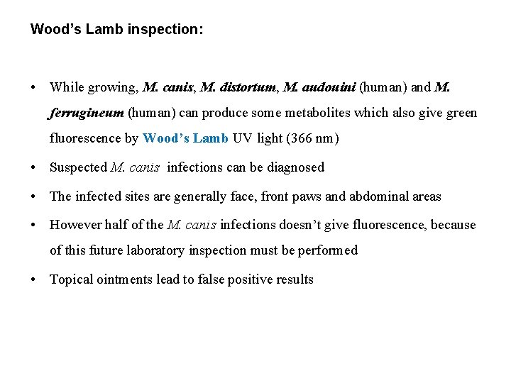 Wood’s Lamb inspection: • While growing, M. canis, M. distortum, M. audouini (human) and