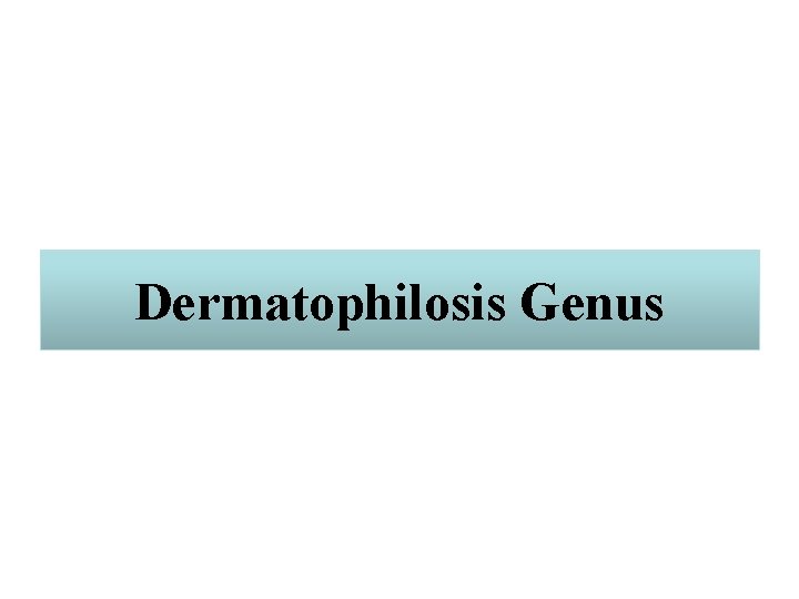 Dermatophilosis Genus 