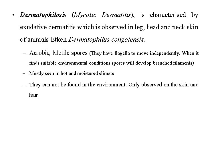  • Dermatophilosis (Mycotic Dermatitis), is characterised by exudative dermatitis which is observed in