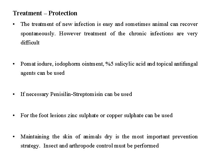 Treatment – Protection • The treatment of new infection is easy and sometimes animal