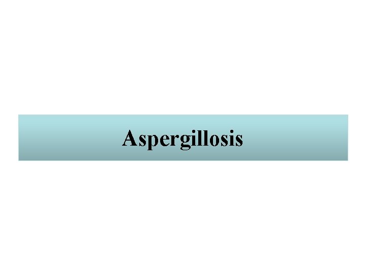 Aspergillosis 