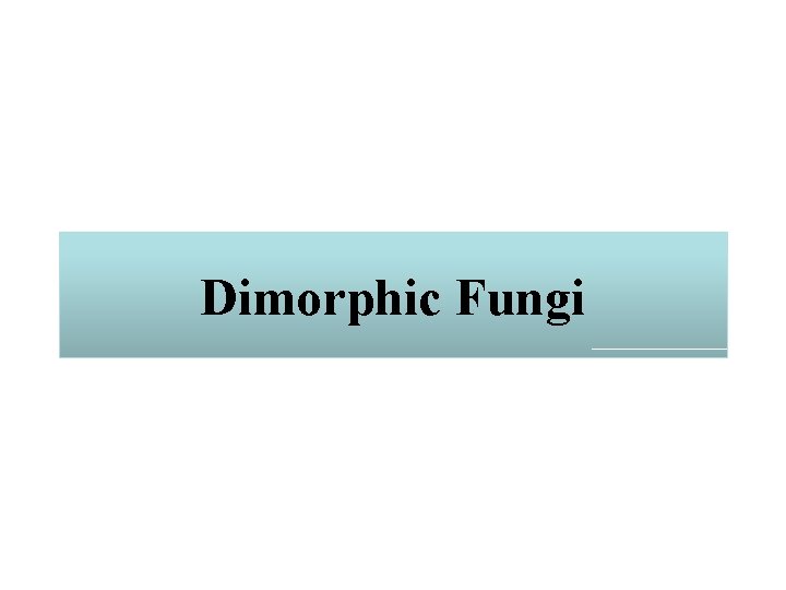 Dimorphic Fungi 