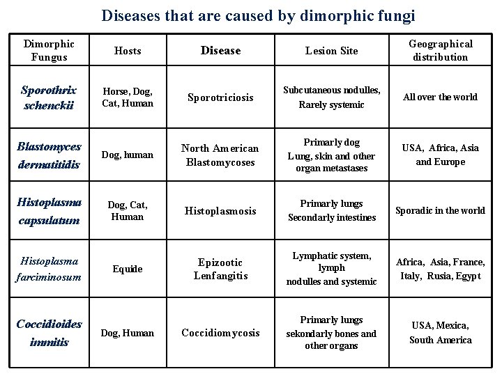 Diseases that are caused by dimorphic fungi Dimorphic Fungus Hosts Disease Lesion Site Geographical