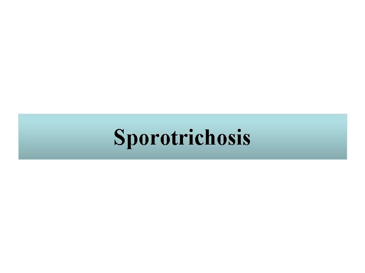 Sporotrichosis 