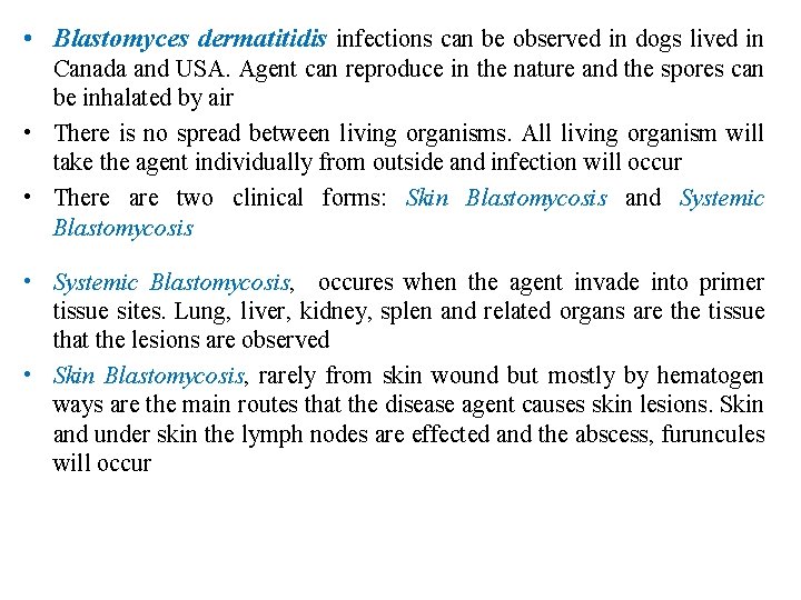  • Blastomyces dermatitidis infections can be observed in dogs lived in Canada and