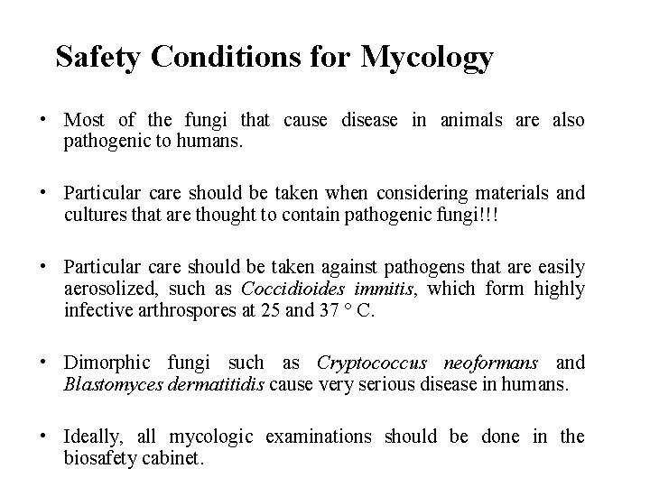 Safety Conditions for Mycology • Most of the fungi that cause disease in animals