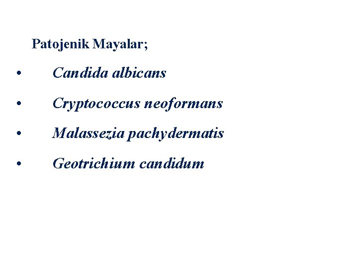 Patojenik Mayalar; • Candida albicans • Cryptococcus neoformans • Malassezia pachydermatis • Geotrichium candidum