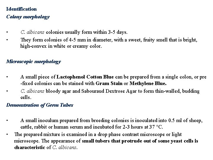 Identification Colony morphology • • C. albicans colonies usually form within 3 -5 days.