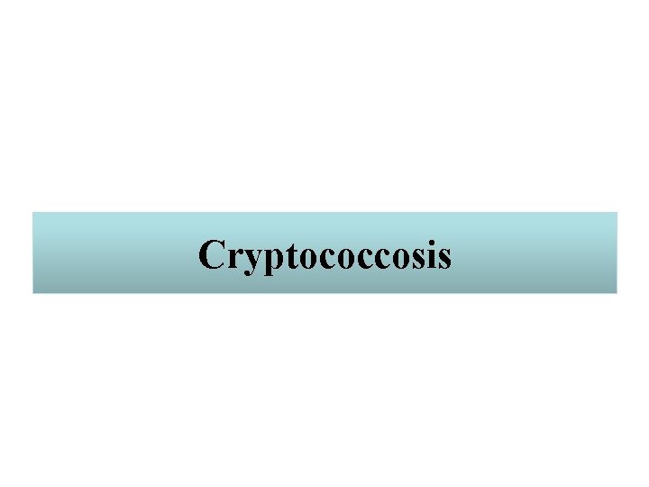 Cryptococcosis 