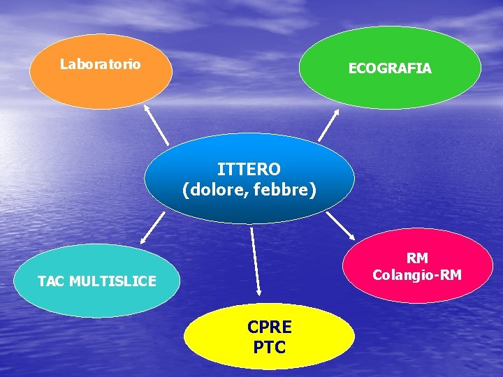 Laboratorio ECOGRAFIA ITTERO (dolore, febbre) RM Colangio-RM TAC MULTISLICE CPRE PTC 