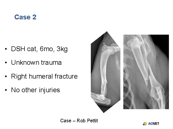 Case 2 • DSH cat, 6 mo, 3 kg • Unknown trauma • Right Case 2 • DSH cat, 6 mo, 3 kg • Unknown trauma • Right