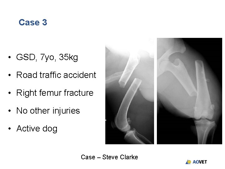 Case 3 • GSD, 7 yo, 35 kg • Road traffic accident • Right Case 3 • GSD, 7 yo, 35 kg • Road traffic accident • Right