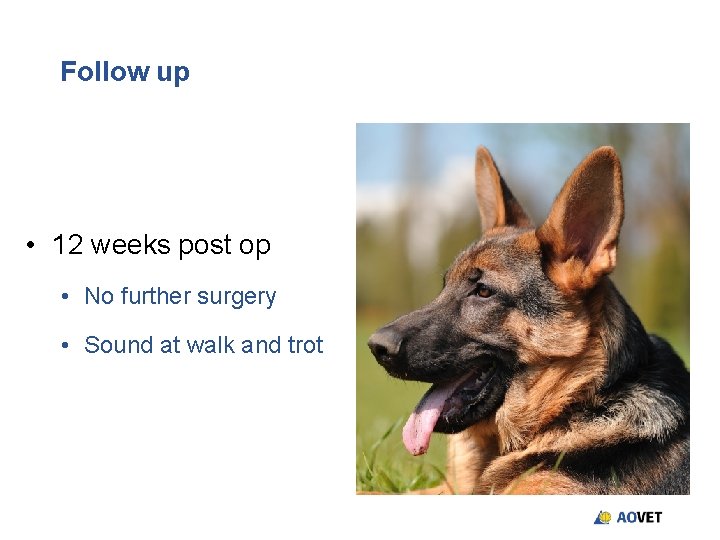 Follow up • 12 weeks post op • No further surgery • Sound at Follow up • 12 weeks post op • No further surgery • Sound at