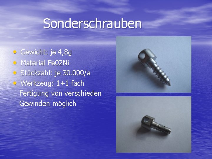 Sonderschrauben • • Gewicht: je 4, 8 g Material Fe 02 Ni Stückzahl: je