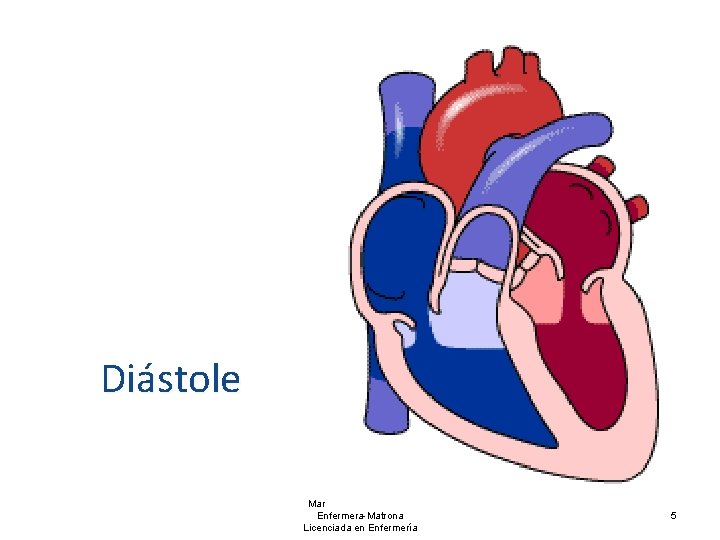 Sístole Diástole Marianela Pérez Llanca Enfermera-Matrona Licenciada en Enfermería 5 