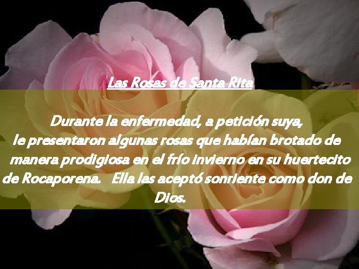 Las Rosas de Santa Rita Durante la enfermedad, a petición suya, le presentaron algunas