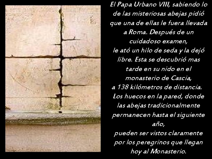 El Papa Urbano VIII, sabiendo lo de las misteriosas abejas pidió que una de