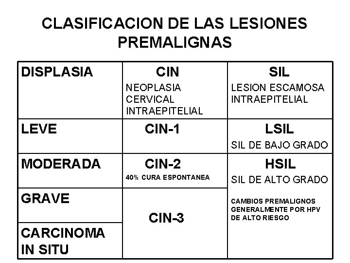 CLASIFICACION DE LAS LESIONES PREMALIGNAS DISPLASIA LEVE CIN SIL NEOPLASIA CERVICAL INTRAEPITELIAL LESION ESCAMOSA