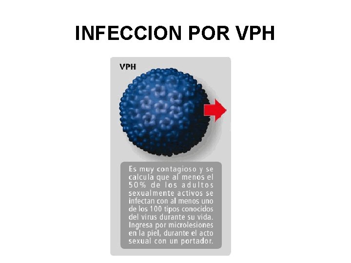 INFECCION POR VPH 