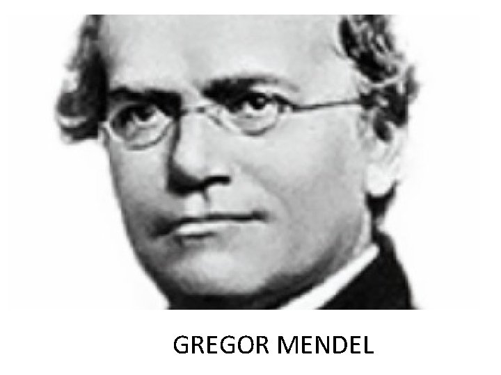 GREGOR MENDEL 