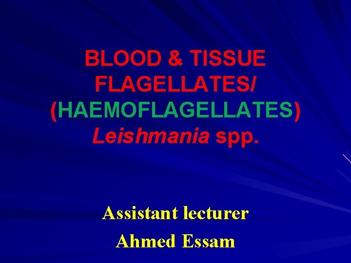 BLOOD & TISSUE FLAGELLATES/ (HAEMOFLAGELLATES) Leishmania spp. Assistant lecturer Ahmed Essam 