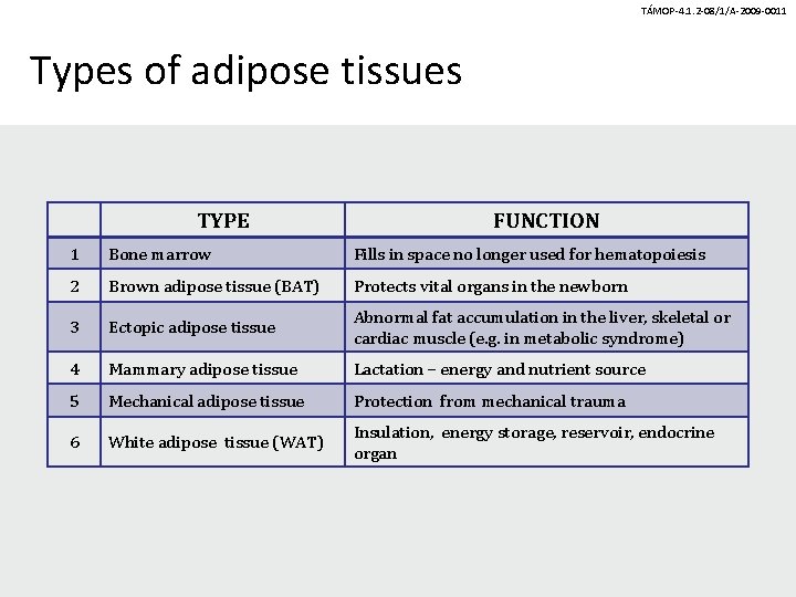 TÁMOP-4. 1. 2 -08/1/A-2009 -0011 Types of adipose tissues TYPE FUNCTION 1 Bone marrow