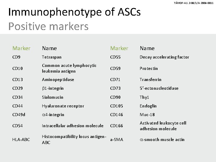 Immunophenotype of ASCs Positive markers TÁMOP-4. 1. 2 -08/1/A-2009 -0011 Marker Name CD 9