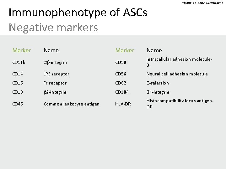 Immunophenotype of ASCs Negative markers TÁMOP-4. 1. 2 -08/1/A-2009 -0011 Marker Name CD 11