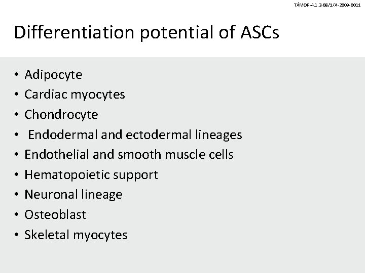 TÁMOP-4. 1. 2 -08/1/A-2009 -0011 Differentiation potential of ASCs • • • Adipocyte Cardiac