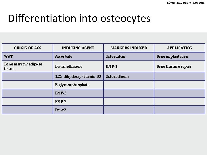 TÁMOP-4. 1. 2 -08/1/A-2009 -0011 Differentiation into osteocytes ORIGIN OF ACS INDUCING AGENT MARKERS