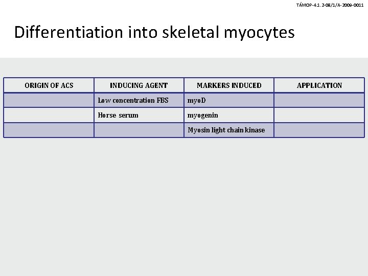 TÁMOP-4. 1. 2 -08/1/A-2009 -0011 Differentiation into skeletal myocytes ORIGIN OF ACS INDUCING AGENT